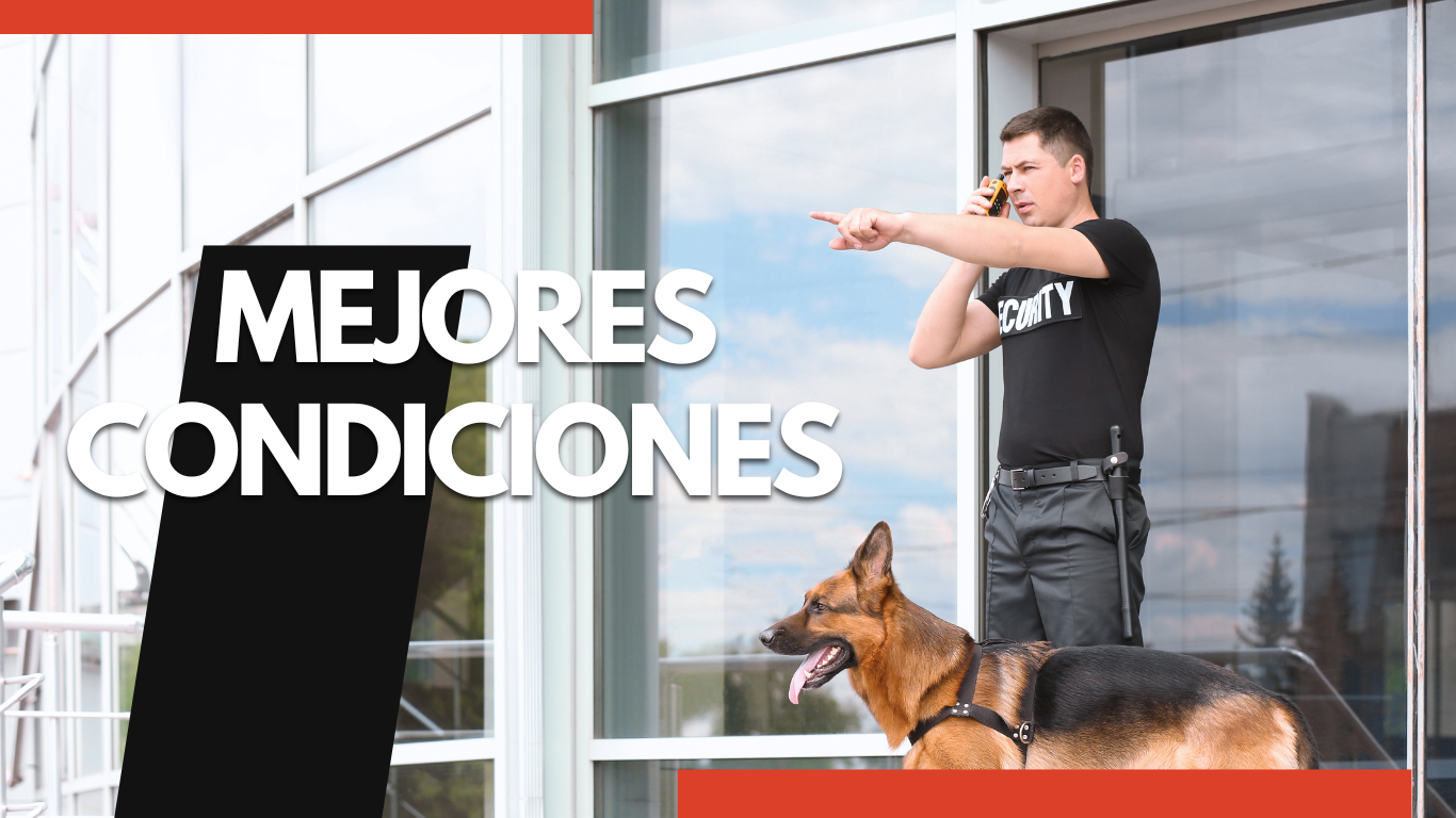 Guardias de Seguridad